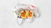 Bandari Sandwich